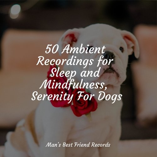 50 Ambient Recordings for Sleep and Mindfulness, Serenity For Dogs_poster_image