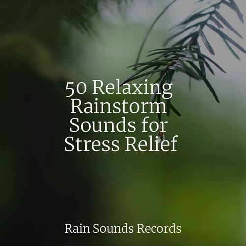 50 Relaxing Rainstorm Sounds for Stress Relief