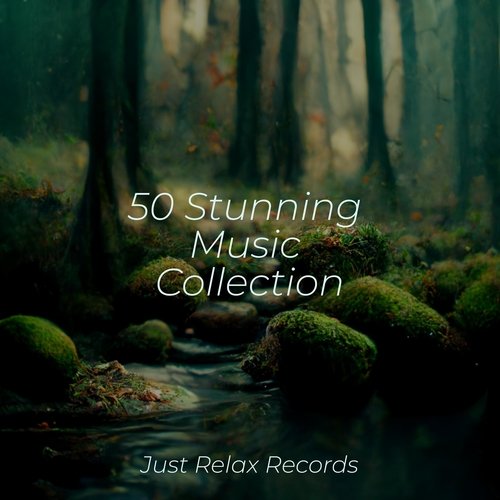 50 Stunning Music Collection