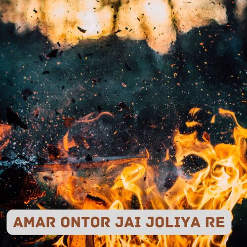 AMAR ONTOR JAI JOLIYA RE