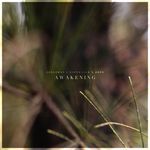 Awakening