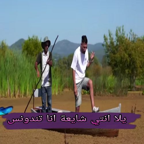 يلا انتي شايعة انا تندونس cover art