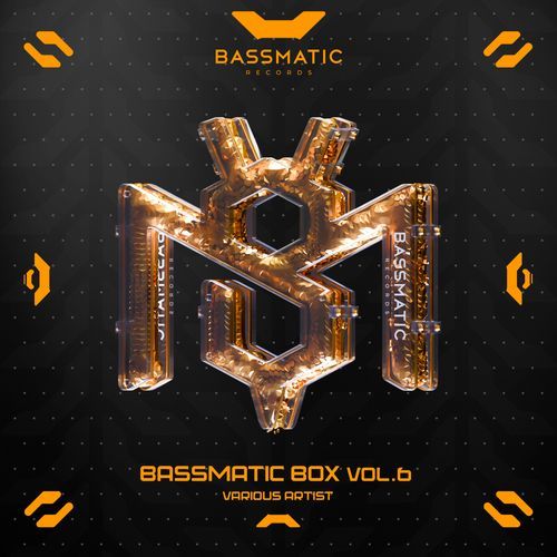 Bassmatic BOX, Vol. 6
