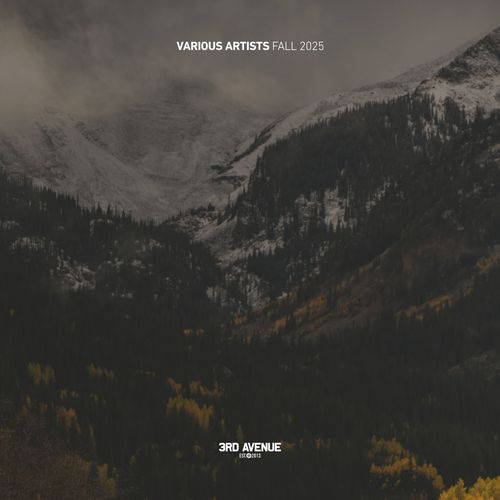 Best of 3rd Avenue | Fall 2025