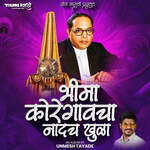 Bhima Koregaon Cha Naad Ch Khula