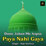 Dono Jahan Me Aapsa Paya Nahi Gaya