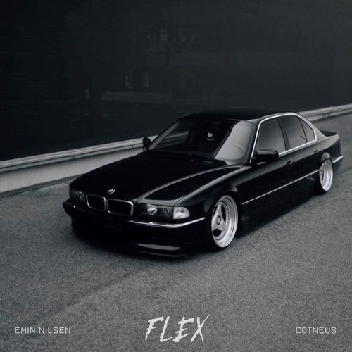 FLEX_poster_image