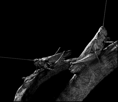 Fools (Detuned Guitar Version) cover art