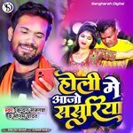 Holi Mein Aajo Sasuriya