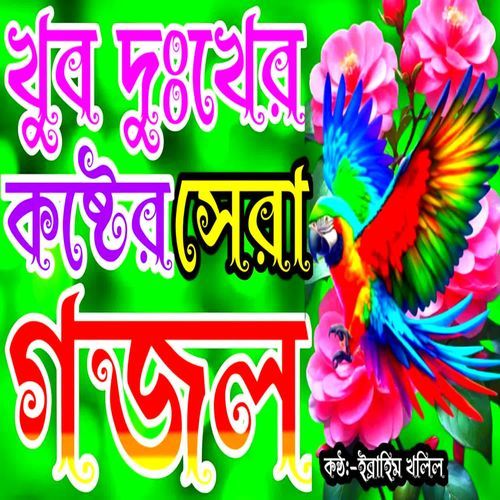 Koto Zotner Pakhi Tumi Kajol Boron Tiya