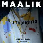 Maalik artwork
