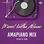Mannil Vantha Nilavae - Amapiano Mix
