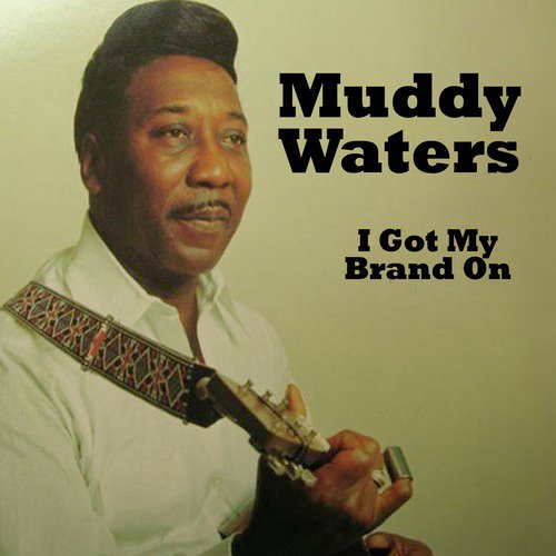 Muddy Waters - I Got My Brand On You