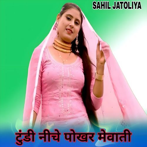 टुंडी नीचे पोखर मेवाती