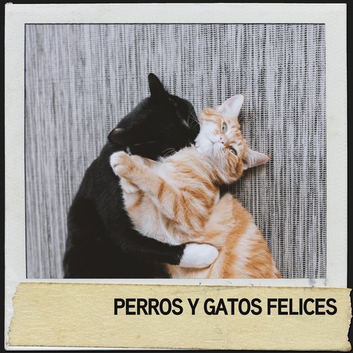Música para perros cover art