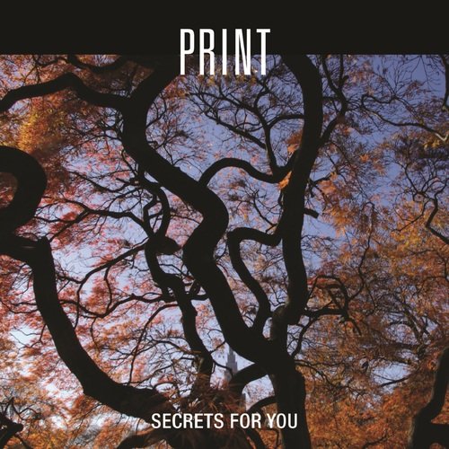 Secrets for You_poster_image