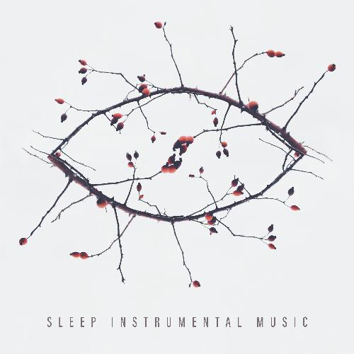 Sleep Instrumental Music: Insomnia Relief, Bedtime Songs, Get Some Sleep, Nap Meditation, Bedroom Ambience, Sweetest Dreams