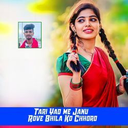 Tari Yad Me Janu Rove Bhila Ko Chhoro