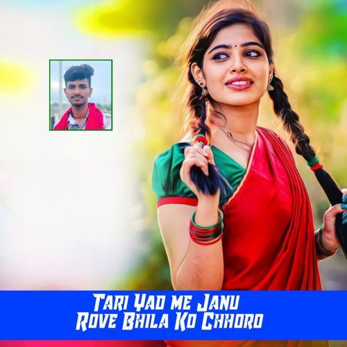 Tari Yad Me Janu Rove Bhila Ko Chhoro