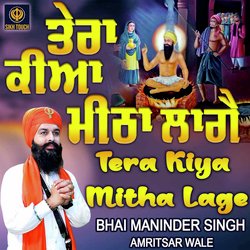 Tera Kiya Mitha Laage-FkVcXwRhD1U