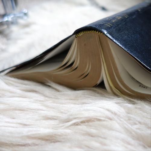 The Book