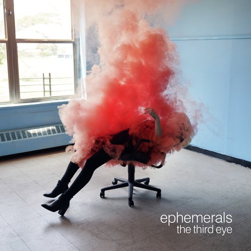 Thiefin cover art