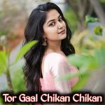 Tor Gaal Chikan Chikan