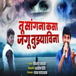 Tu Sagna Kasa Jagu Tuzya Vina