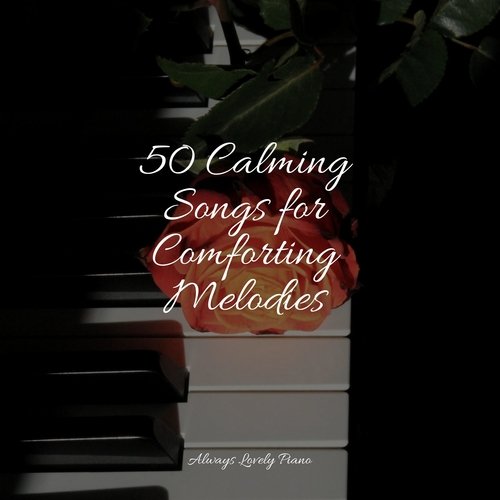 50 Calming Songs for Comforting Melodies