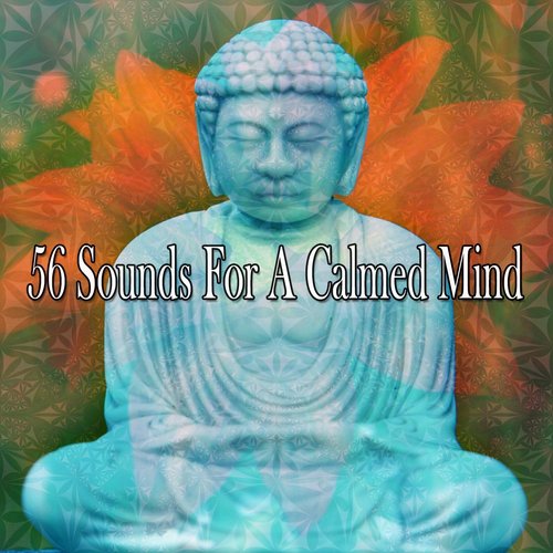 56 Sounds For A Calmed Mind