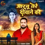 Aarzoo Tere Deewane Ki