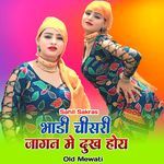 भांडी चीसरी जागन मे दुख होय ओल्ड मेवाती
