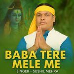 Baba Tere Mele Me