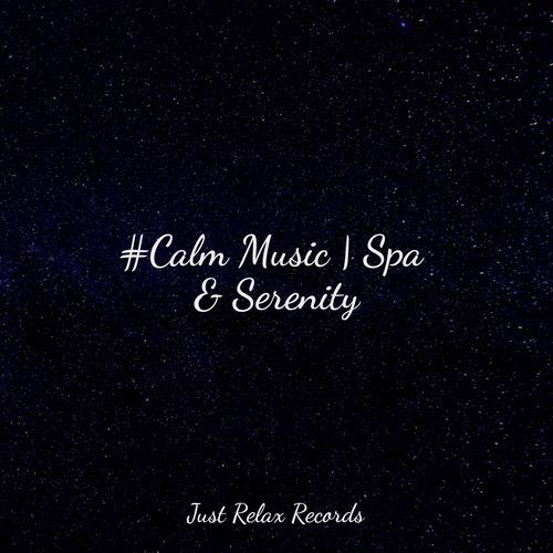 #Calm Music | Spa & Serenity