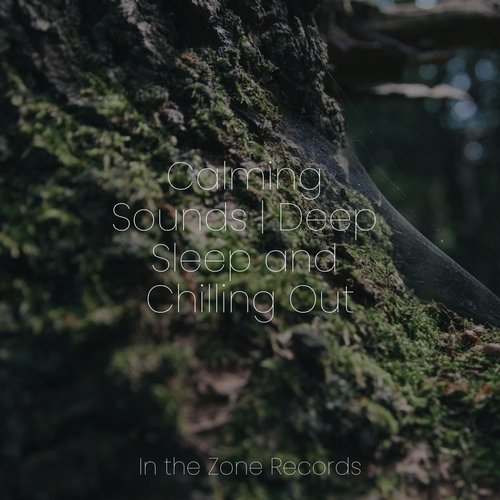 Nature's Symphony cover art