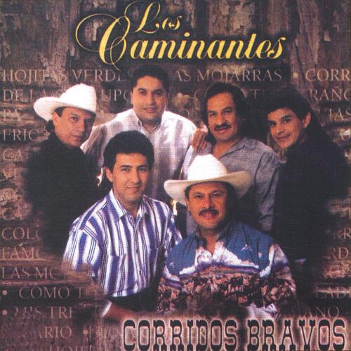 Corridos Bravos