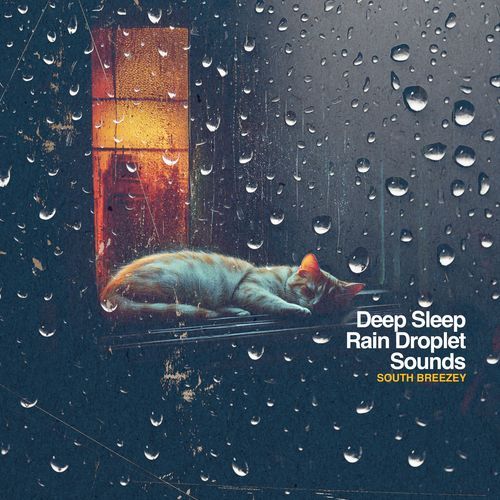 Deep Sleep Rain Droplet Sounds