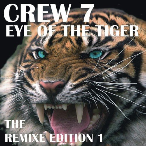 Eye of the tiger - 1