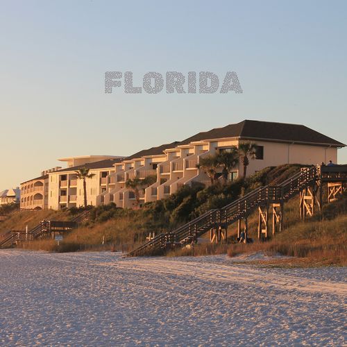 Florida cover art