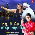 Janu Te Kem Todyu Maru Dil