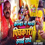 Kanha Ne Mari Pichkari Rangai Radhe