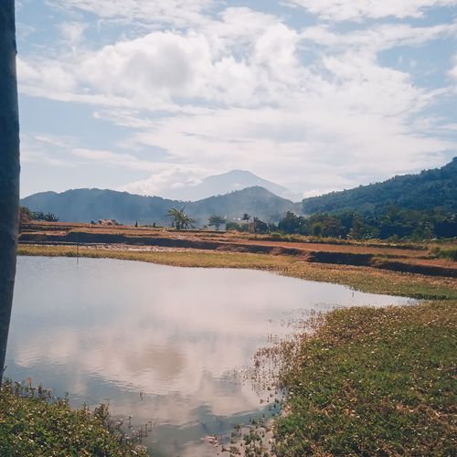 Kujang Papasangan cover art