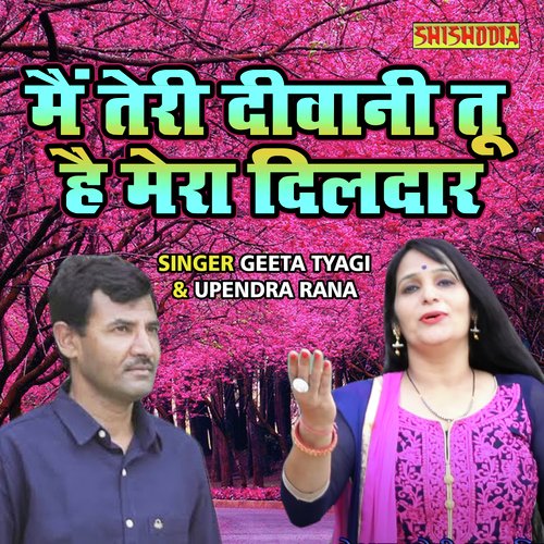 Main Teri Diwani Tu Hai Mera Dildaar