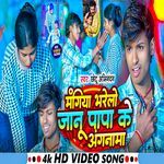 Mangiya Bharelo Janu