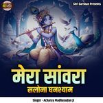 Mera Sanwara Salona Ghanshyam