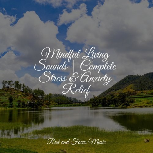 Mindful Living Sounds | Complete Stress & Anxiety Relief