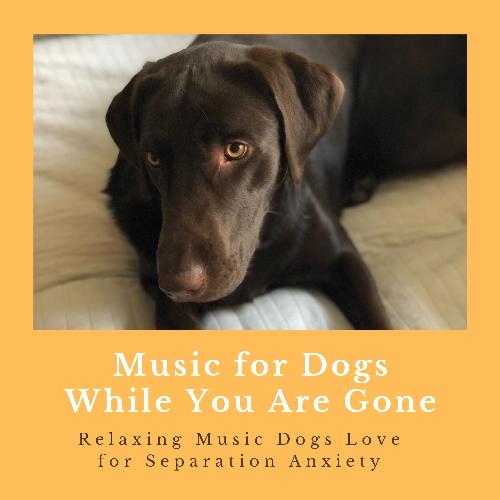 Music for Pets cover art