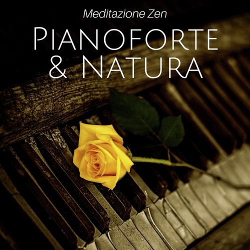 Musicoterapia cover art