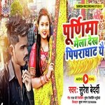 Purnima Mela Dekha Pipraghat