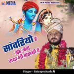 Sawariya Hai Seth Meri Radha Ji Sethani Hai artwork